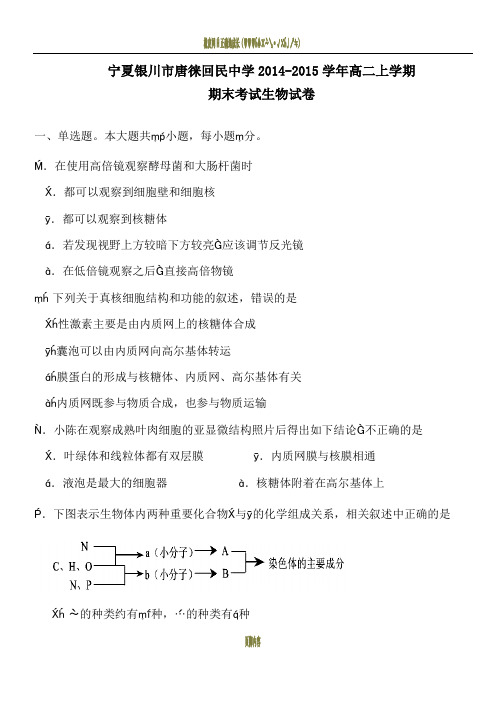 宁夏银川市唐徕回民中学2014-2015学年高二上学期期末考试生物试题