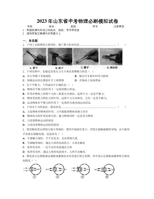 2023年山东省中考物理必刷模拟试卷及解析