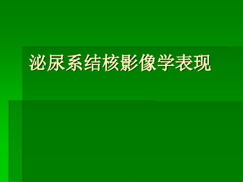 泌尿系统结核的影像诊断