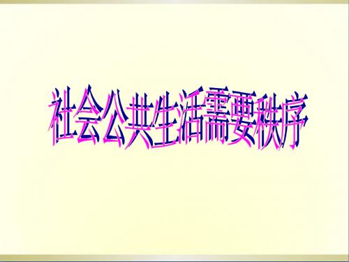 九年级政治《社会公共生活需要秩序》课件 人教新课标版