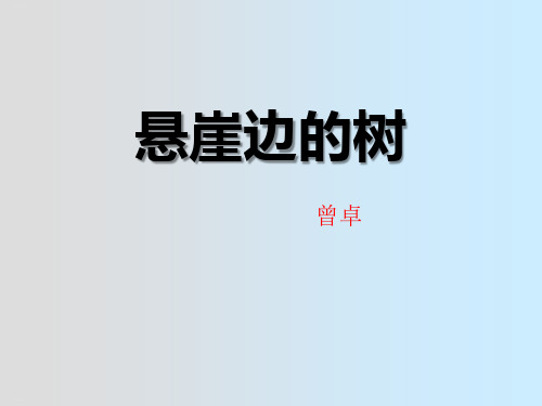 《悬崖边的树》PPT【优质课件】