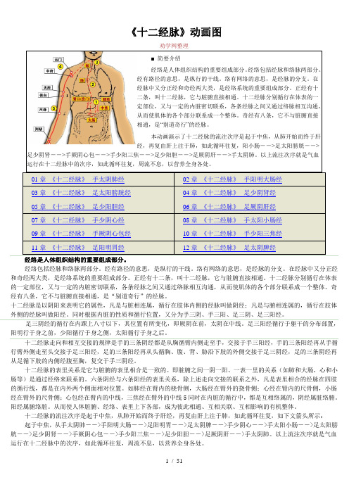 十二经脉循行图