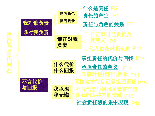 九年级政治责任与角色同在1(PPT)5-3