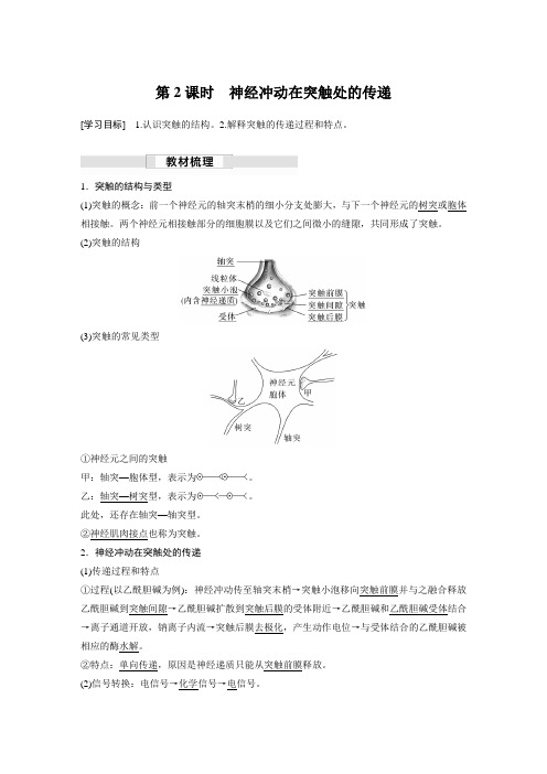 高中生物：第二章 第二节 第2课时 神经冲动在突触处的传递