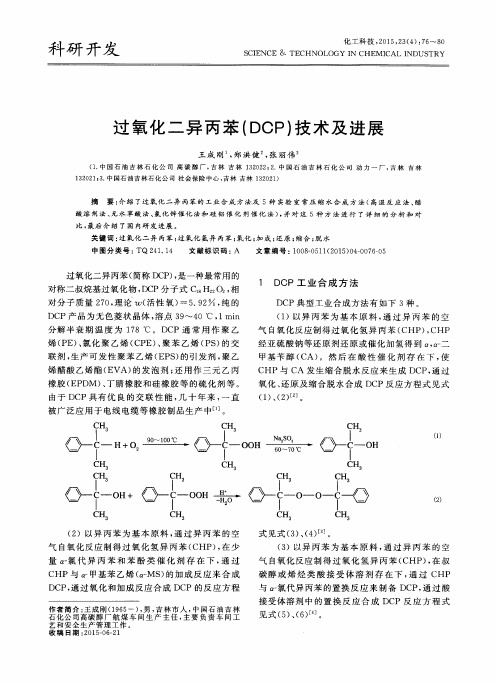 过氧化二异丙苯(DCP)技术及进展