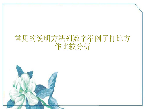 常见的说明方法列数字举例子打比方作比较分析19页文档