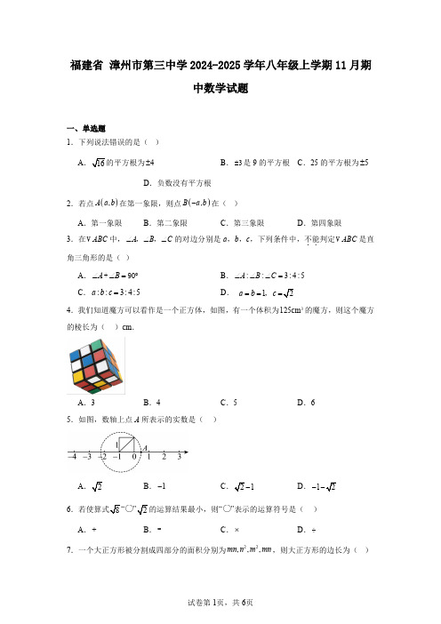 福建省漳州市第三中学2024-2025学年八年级上学期11月期中数学试题