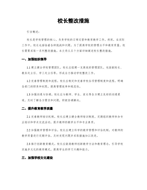 校长整改措施