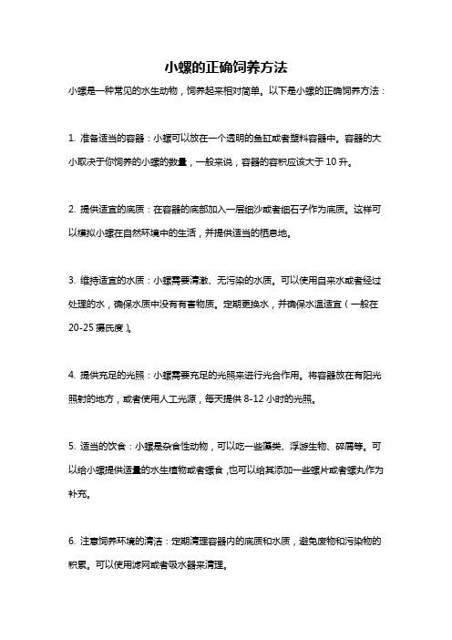 小螺的正确饲养方法