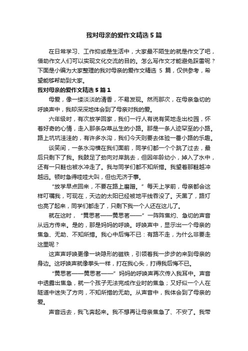 我对母亲的爱作文精选5篇