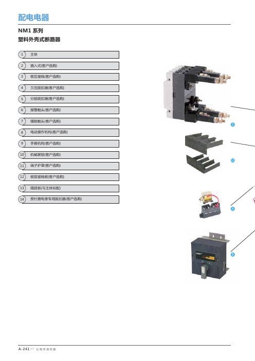 正泰NM塑壳断路器样书