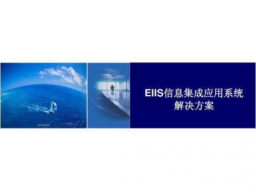 EIIS信息集成应用系统解决方案