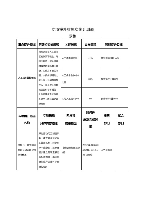 专项提升措施实施计划表(示例)[1]1