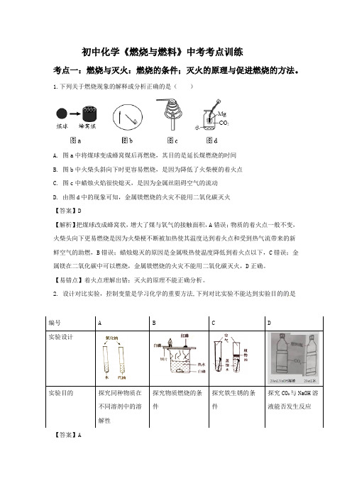 初中化学《燃烧与燃料》中考考点训练