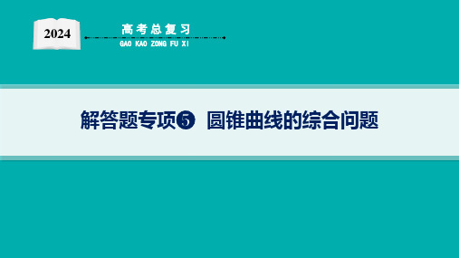 2024年高考数学二轮复习专题五解析几何解答题专项5圆锥曲线的综合问题