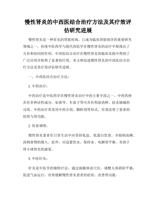 慢性肾炎的中西医结合治疗方法及其疗效评估研究进展