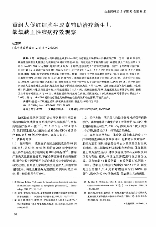 重组人促红细胞生成素辅助治疗新生儿缺氧缺血性脑病疗效观察