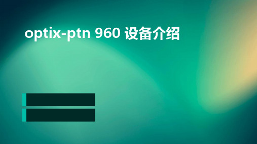 OptiX-PTN 960 设备介绍