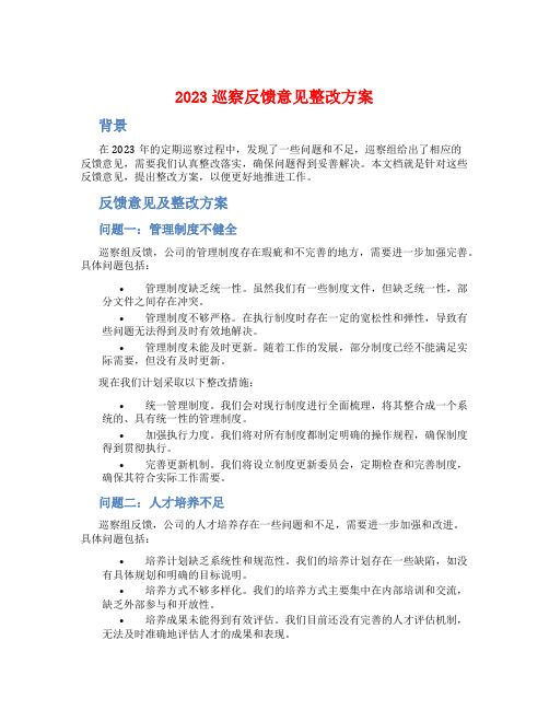 2023巡察反馈意见整改方案