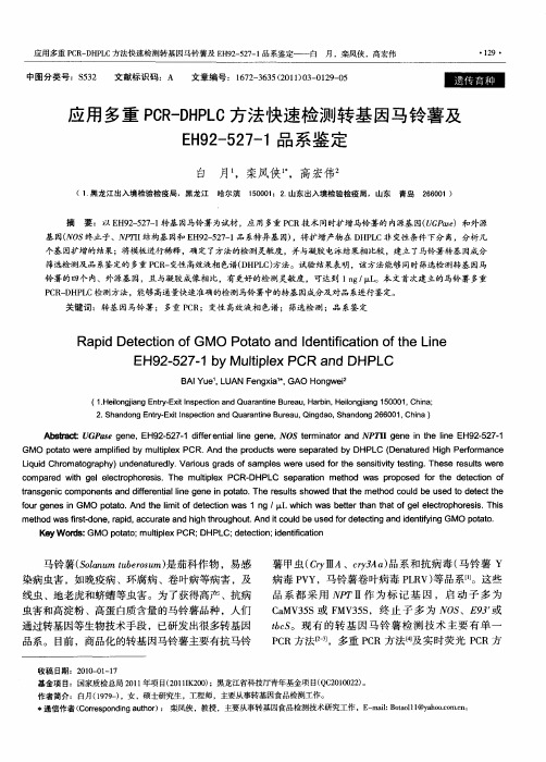 应用多重PCR-DHPLC方法快速检测转基因马铃薯及EH92-527-1品系鉴定