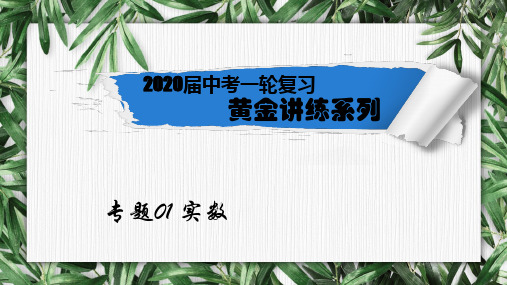 2020数学中考复习精讲教案和习题专题01 实数【PPT课件】