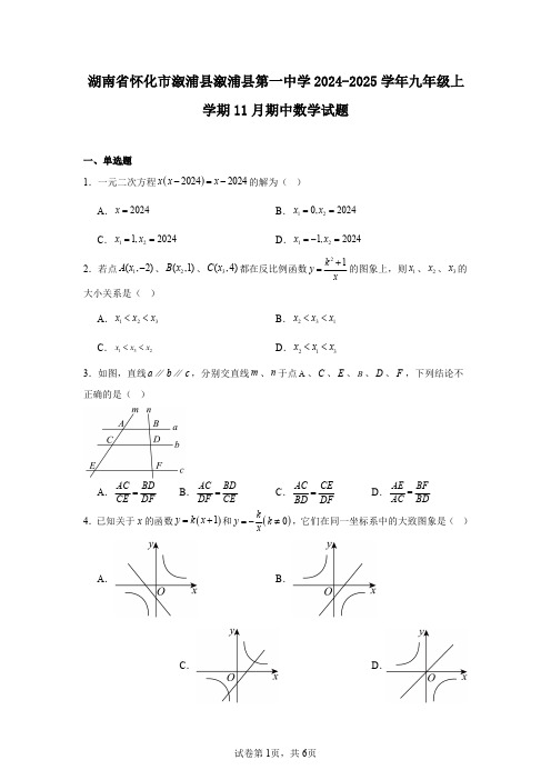 湖南省怀化市溆浦县溆浦县第一中学2024-2025学年九年级上学期11月期中数学试题