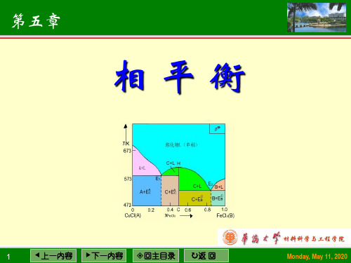 相平衡(物理化学课件)