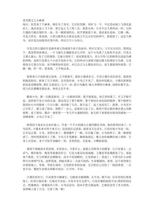 老舍散文之小麻雀