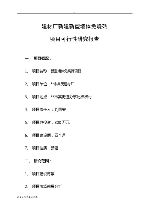 新建新型墙体免烧砖项目可行性研究报告