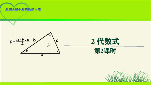 北师大版七年级数学上册《代数式》第2课时示范公开课教学课件