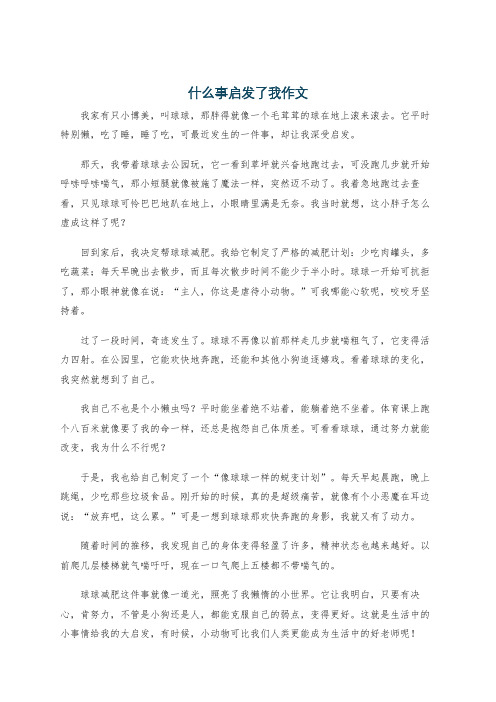 什么事启发了我作文