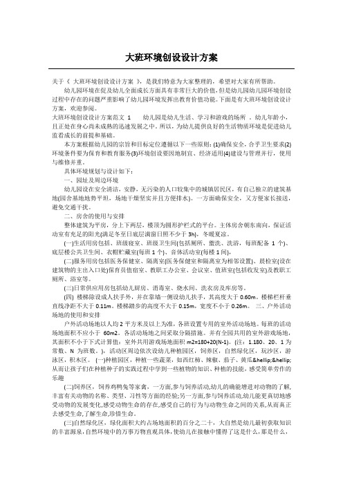 大班环境创设设计方案