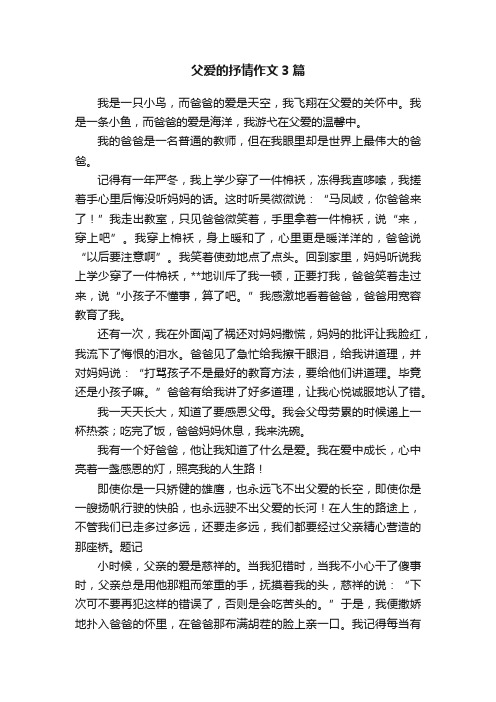 父爱的抒情作文3篇