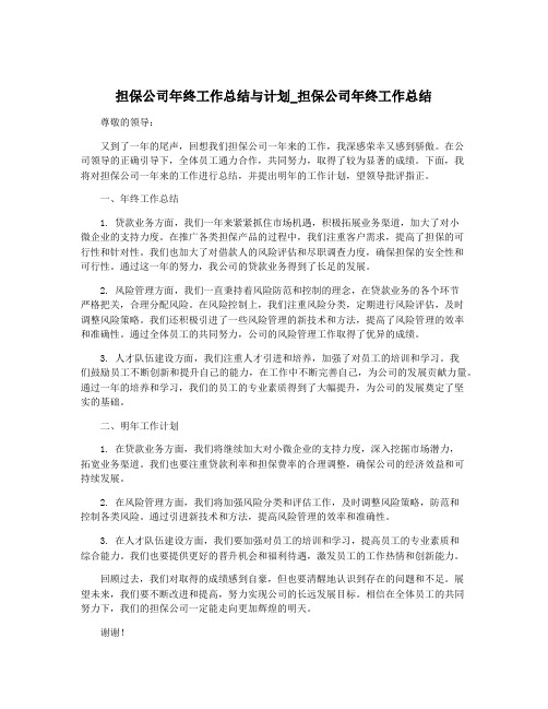 担保公司年终工作总结与计划_担保公司年终工作总结