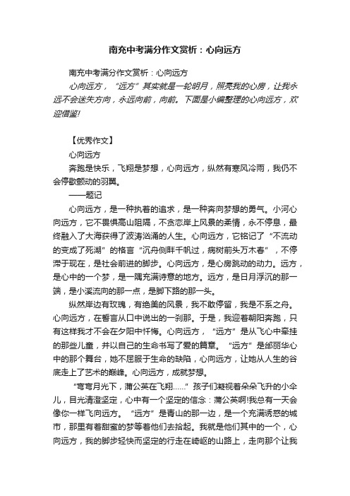 南充中考满分作文赏析：心向远方