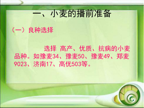 高教版农作物生产技术第二章第二节小麦的播前准备与播种技术ppt课件.ppt