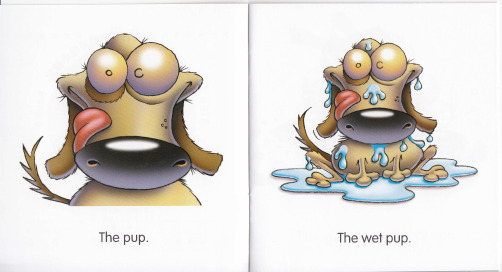 《我的第一套自然拼读故事书》Now I am Reading_Step 4： The Wet Pup