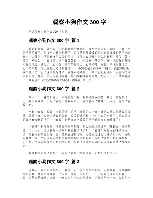 观察小狗作文300字