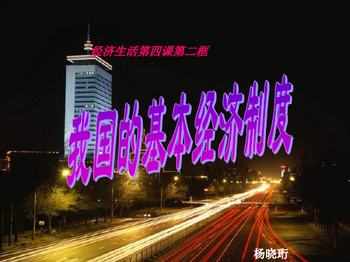 我国的基本经济制度-