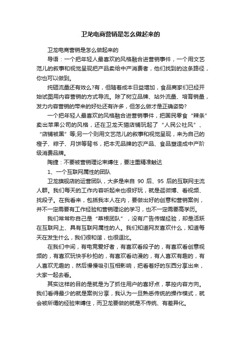 卫龙电商营销是怎么做起来的