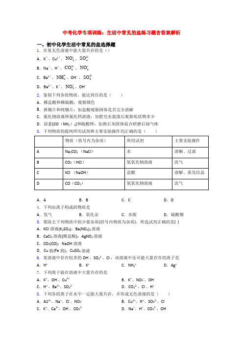 中考化学专项训练：生活中常见的盐练习题含答案解析