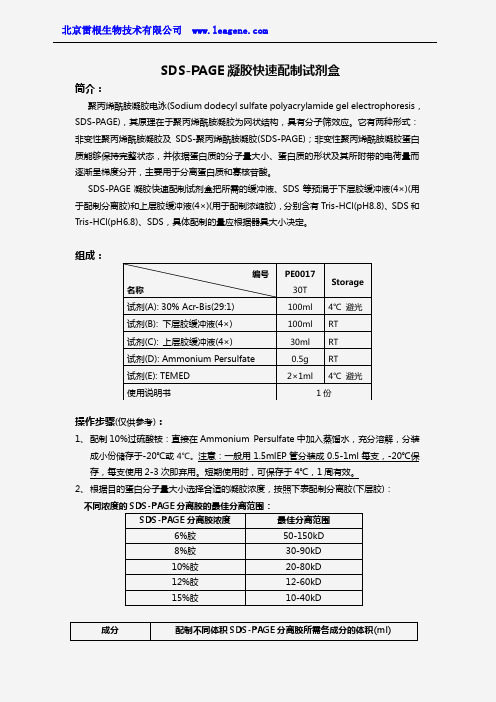 SDS-PAGE凝胶快速配制试剂盒