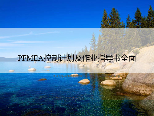 PFMEA控制计划及作业指导书全面