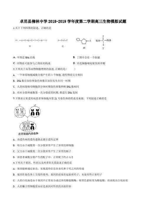 甘肃省卓尼县柳林中学2018-2019学年度第二学期高三模拟生物试题(原卷版)