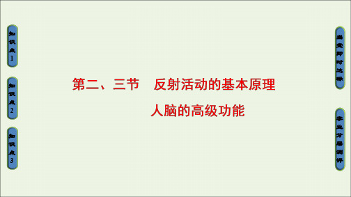 2019-2020学年高中生物第1单元第3章第23节反射活动的基本原理人脑的高级功能课件中图版必修3