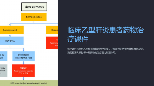 临床乙型肝炎患者药物治疗课件