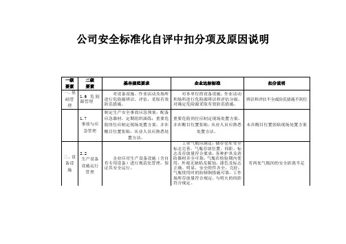 公司安全标准化自评中扣分项及原因说明