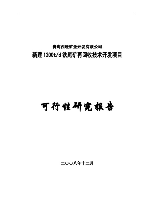 2016年新建1200td铁尾矿再回收技术开发项目建设可研报告