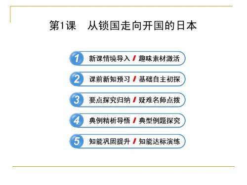 8.1 从锁国走向开国的日本 课件(人教版选修1)