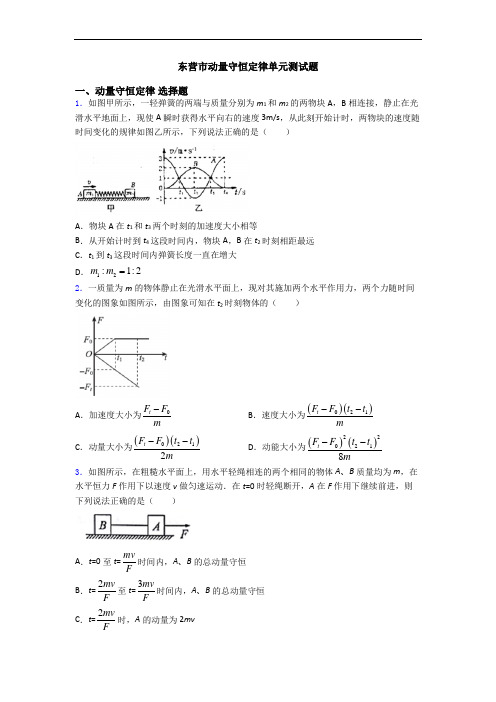 东营市动量守恒定律单元测试题